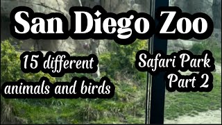 San Diego Zoo Safari Park Part 2  7min Video of 15 different animals and birds zoo zooanimals [upl. by Ynned129]