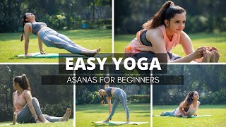 5 Yoga Poses with names  Benefits  Steps  Daily Yoga  Yoga Poses For Beginners  Rachna Dhingra [upl. by Eignat]