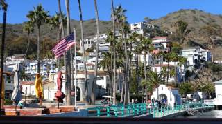 Catalina Express  Ride With Us to Catalina Island [upl. by Suiradel587]