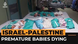 Premature babies are dying at Gazas alShifa Hospital  Al Jazeera Newsfeed [upl. by Adnawed]