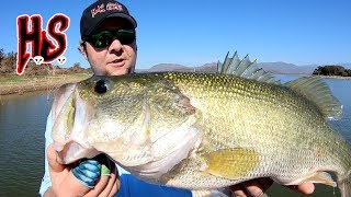 Hook Shots A New Bass Fly Fishery In Old Mexico [upl. by Anilorac]