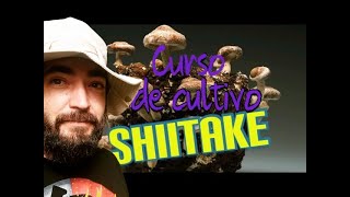 Aprende a cultivar Shiitake en casa con nuestro curso completo 👨‍🏫🔎🍄Lentinula edodes [upl. by Rayshell1]