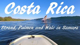 Costa Rica Relaxtes Beachlife in Samara mit Whalewatching und Traumstränden am Pazifik [upl. by Karlee578]