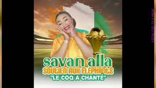 SAVAN ALLA SOUTIEN AUX ELEPHANTS [upl. by Kamerman220]