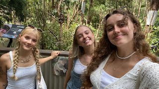 currumbin wildlife sanctuary vlog  ywam byron bay [upl. by Aleka]