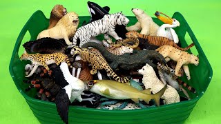 Carnivorous Herbivorous and Omnivorous Animals  Learn Animal Names with Figurines [upl. by Grier618]