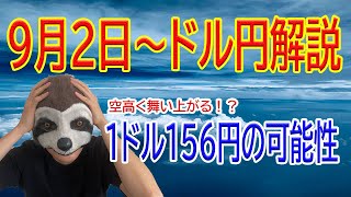 【ドル円シンプルチャート分析】再び１ドル１４６円台まで上昇！下落はもう終わりか？９月は雇用統計の結果に要注目！ [upl. by Yole]