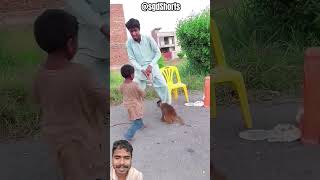 Poor Boy Get Surprise Birthday Cake 🎈 shorts gadgets funny comedy monkey gadgets [upl. by Namrac]