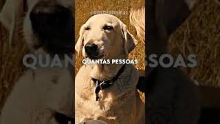 QUANTAS PESSOAS FAZEM VOCÊ SE SENTIR EXTRAORDINÁRIO  Marley e Eu [upl. by Seluj893]