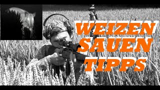 Weizen Sauen Tipps [upl. by Enyleuqcaj953]