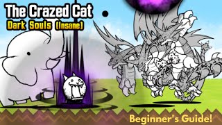 How to Beat The Crazed Cat No Gacha or Eraser needed  Battle Cats Dark Souls Insane [upl. by Ybocaj]