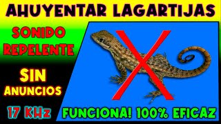 SONIDO PARA AHUYENTAR LAGARTIJAS 🚫🦎 REPELENTE DE LAGARTIJAS [upl. by Leirvag949]