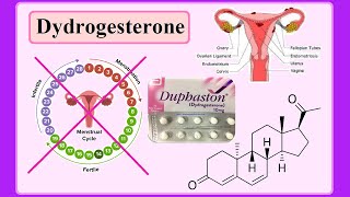 dydrogesterone [upl. by Assennej]