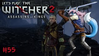 Lets Play The Witcher 2 Assassins of Kings Revisited 👑55  Detmold Bericht erstatten [upl. by Moclam670]