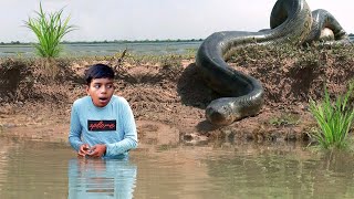 Anaconda Snake Attack Fish Hunter  Fun made Giant Snake Attack and Rescue Film [upl. by Thor746]