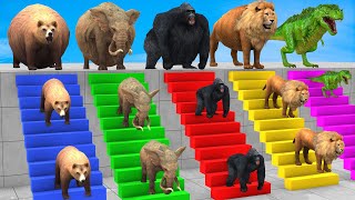 5 Giant Duck CartoonCowElephantLionTRex Paint Wild Animals Crossing Fountain Funny Cage Game [upl. by Niki]