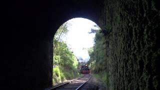 Tren de la Araucania en Afquintue [upl. by Anaile918]