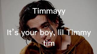 STATISTICS LYRICS TIMOTHÉE CHALAMET  random shit [upl. by Honniball]