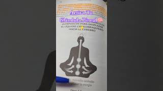 ACTIVA ASÍ Tu GLÁNDULA PINEAL 🧠 y Aprovecha Su POTENCIAL ✨ [upl. by Jareen]