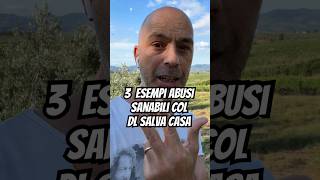 3 esempi abusi sanabili DL Salva Casa carlopagliai [upl. by Ahsinat]