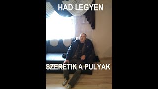 Had legyen szeretik a pulyák Vamuzze Remix 2024 [upl. by Alyahc]