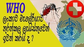 Malaria Disease මැලේරියා රෝගය   Sinhala Medical Channel [upl. by Leeban]