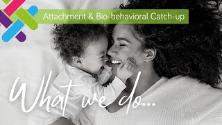 Infant Mental Health Service Attachment and Biobehavioral Catchup [upl. by Sairahcaz457]