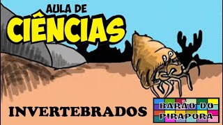 Aula de Ciências Animais Invertebrados [upl. by Eelrac431]