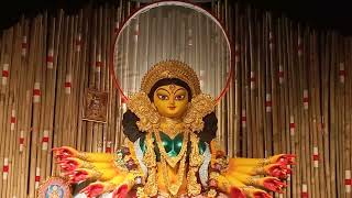 Maha Ashtami  Beautiful creatures  Durga Puja ২০২৪ Bajranggi [upl. by Innos349]