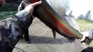 Steelhead fishing at the steelhead capital of Idaho [upl. by Haye160]