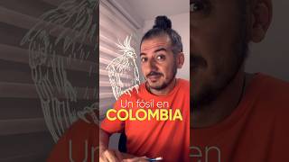 En Colombia existe un fósil viviente se llama hoacín Conócelo en este video 🇨🇴 [upl. by Baalman]