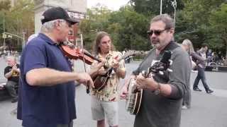 10th Annual Washington Square Park Reunion 2014 [upl. by Lowenstein]