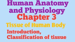 Human anatomy and physiology Chapter 3 Tissue D pharma 1st year Hindi Notes [upl. by Godred]