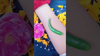 Green chilli mehndi tattoo designs ❣️ mehndi mehnditatto newsong temporarytatto mehndidesighn [upl. by Eimar485]