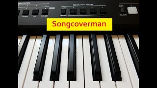 Himbeereis zum Frühstück  Hoffmann und Hoffmann  Cover by songcoverman [upl. by Harewood]