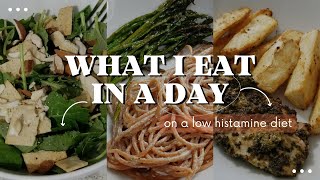 MCAS What I Eat in a Day Low Histamine  Meal Prep amp Recipes [upl. by Buine833]