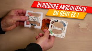 Herd anschließen Herddose anschließen 400V Herdanschluss ✅ [upl. by Brackely]