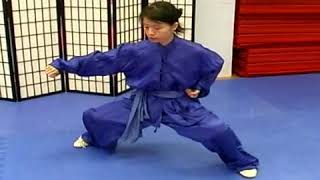 Pu Bo Bow Stance amp Punch in Wushu [upl. by Blondie]