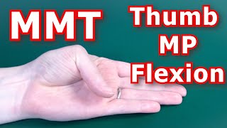 Manual Muscle Testing MMT  Thumb MP Flexion [upl. by Sklar55]