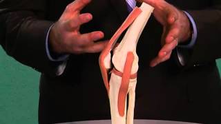 Bursitis  Serious Accidents Can Affect Knee Movement [upl. by Maroj]