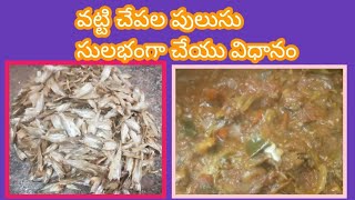 Endu chapala curry recipe in telugu [upl. by Blancha]