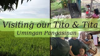 Umingan Pangasinan Trip To our Tito amp Titas Place family happy nature [upl. by Nuahsel]