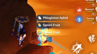 How To Find Spinel Fruit Genshin Impact [upl. by Olimreh94]