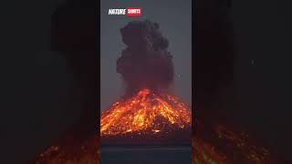 Amazing Volcanic Eruption nature volcano krakatoa indonesia knowledge [upl. by Rehpotsihrc487]