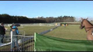 Coursing Clonmel 2011 [upl. by Ahsirt316]