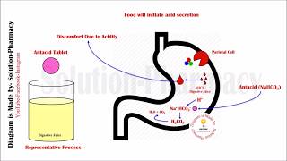 Antacid Mechanism of Action  Antacid Pharmacology in Peptic Ulcer  Antacid Animation Video  Ulcer [upl. by Ovatsug]