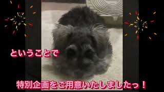 202423月生まれ キャンペーン動画 [upl. by Irol577]