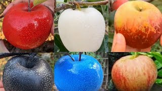 Apple different colours you should know about white Appleblue [upl. by Otrebilif]