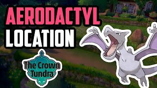 How to Catch Aerodactyl  Pokemon Sword amp Shield DLC [upl. by Marijn]