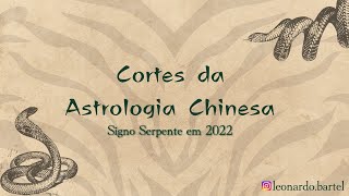 Cortes de Astrologia Chinesa Signo Serpente em 2022 [upl. by Zucker17]